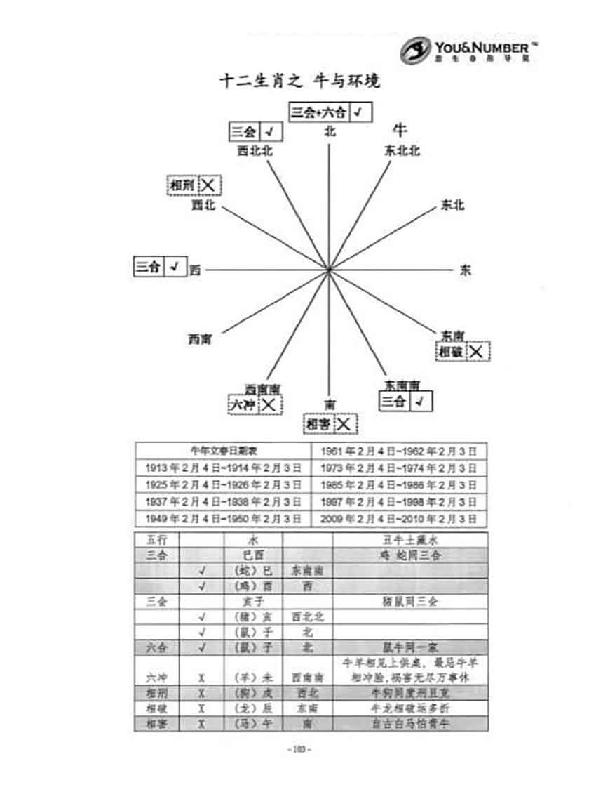 生命密码,生命数字二阶教材-图片2